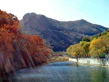 澳门天天彩期期精准平肖，军旅言情小说